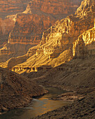 Der Colorado River fließt durch einen von Kalksteinfelsen gesäumten Canyon.