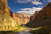 Blick auf den Colorado River, der durch den Nankoweap Canyon fließt.