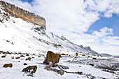 Desolate polar landscape sprinkled with volcanic rock.