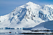 A zodiac from a cruise ship dwarfed by ice-covered mountains.