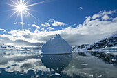 Reflections of icebergs on water in Niko Harbor, Antarctica.