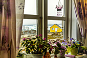 View from inside a house in the Inuit village of Tiniteqikaq.