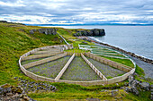 Circle sheep gate along the shore of the North Atlantic Ocean at Vatnsnes Peninsula in the Northern Region of Iceland; Vatnsnes Peninsula, Nordurland Vestra, Iceland