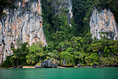 Limestone cliffs loom over a remote beach and palm trees in Thailand.