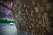 Besucher haben Schlamm-Handabdrücke auf einer Sandsteinwand in den Zion Narrows hinterlassen.