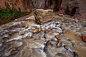Der Virgin River am Eingang zu The Narrows im Zion National Park.