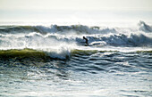 Surfen im Pazifik bei Huanchaco, in der Nähe von Trujillo, Peru; Huanchaco, an der Pazifikküste von Peru.