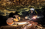 A cave diver examines ancient Mayan pots, a monkey skull, and human bones.
