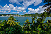 View through the tree-tops of the Town of Samana overlooking Samana Bay with boats moored in the harbor on a sunny day; Samana Peninsula, Dominican Republic, Caribbean