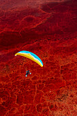 A paramotor pilot flies over Owens Lake, a mostly dry lake bed, in the Sierra Nevada near Lone Pine with salt loving halobacteria turning the shallow water a vibrant shade of red; Lone Pine, Inyo County, California, United States of America