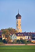 Kirche von Pfatter, Pfarrkirche Mariä Himmelfahrt; Pfatter, Landkreis Regensburg, Bayern, Deutschland