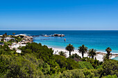 Überblick über die tropische Vegetation und die felsige Küste mit Strandhäusern am Atlantischen Ozean am Clifton Beach; Kapstadt, Westkap, Südafrika