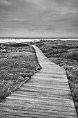 Wooden boardwalk across the moorland leading to the rocky shoreline at Cape Agulhas, the Southern Most Point of the Continent of Africa and the maritime border of the Indian and Atlantic Oceans in Agulhas National Park; Western Cape, South Africa