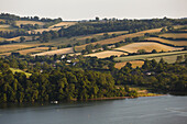 A summer riverside agricultural landscape in southern England.; River Teign, Teignmouth, Devon, Great Britain.