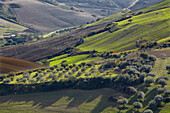 A hilly farmland landscape around Aidone, Sicily, Italy.; Aidone, Sicily, Italy.