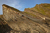 Klippen an der Atlantikküste bei Hartland Point, Devon, England; Damehole Point, Devon, Großbritannien.