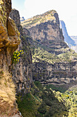 Mountain peaks and rocky cliffs covered with trees and plants in the Simien Mountains National Park in Northern Ethiopia; Ethiopia