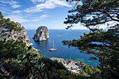 Blick auf die Faraglioni Bucht und Felsformation mit Segelboot am Ufer in der Bucht von Neapel vor der Insel Capri; Neapel, Capri, Italien