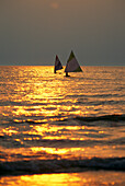 Sailboats travel across the golden surface of Lake Ontario at sunset.; Southwick Beach State Park, New York.