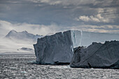 Gigantischer Eisberg in der 'Iceberg Alley' der Antarktis; Antarktis