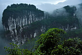 Nachdem der Regen vorbei ist und die Wolken vom Grund der Schluchten in Sanqiao oder den Drei Natürlichen Brücken aufsteigen, enthüllen sich große Kalksteinfelsen; Wulong, Provinz Chongqing, China.