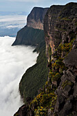 The east facing cliffs of Auyan Tepui.; Gran Sabana, Venezuela.
