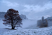 Conturines-Spitze in the Italian Dolomites.; Cortina d'Ampezzo, Dolomites, Italy.