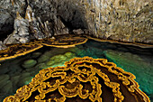 Randsteine und Tropfsteine am Castrovalva-See in der Lechuguilla-Höhle; Carlsbad Caverns National Park, New Mexico.