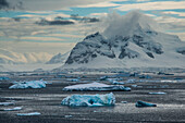 Icebergs floating in the Lemaire Channel with snow covered peaks rising along the shoreline; Antarctica