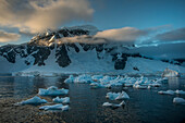 Ice floating off Antarctica's Darco Island, home to colonies of penguin colonies, mostly gentoos; Antarctica