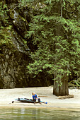 A kayaker rests on a sand beach under a big tree on the Lochsa River.; Lochsa River, Idaho.