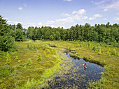 Stand up paddle boarder and daughter cruise through a fresh water marsh near Sebago Lake.; Standish, Maine, USA