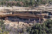 Ein Blick in den Cliff Palace, Cliff Dwellings im Mesa Verde National Park; Mancos, Colorado, Vereinigte Staaten von Amerika