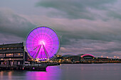 Ein bewölkter Abend an der Uferpromenade von Seattle mit Blick auf das Seattle Great Wheel, das sich in der Elliott Bay spiegelt, mit dem Lumen Field und dem beleuchteten T-Mobile Park im Hintergrund; Seattle, Washington, Vereinigte Staaten von Amerika