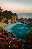 McWay Waterfall and pink flowers just after sunset in Julia Pfeiffer Burns State Park; Big Sur, California, United States of America