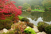 Panoramaansicht eines japanischen Gartens im Herbst; Asticou Azalea Gardens, Northeast Harbor, Mount Desert Island, Maine.