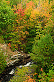 Scenic view of forest and stream from above.; Acadia National Park, Mount Desert Island, Maine.
