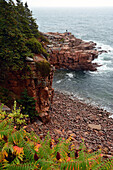 Ein malerischer Blick auf die felsige Küste von Maine im Herbst; Acadia National Park, Mount Desert Island, Maine.