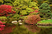 Scenic view of a Japanese garden with a pond in autumn.; Northeast Harbor, Asticou Azalea Gardens, Maine.