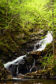 MacIntosh Brook Wasserfälle im Cape Breton Highlands National Park; MacIntosh Brook, Cape Breton Highlands National Park, Nova Scotia, Kanada.