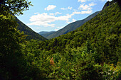 Blick auf ein während der letzten Eiszeit entstandenes, durch Gletscher geformtes Tal im Crawford Notch State Park; New Hampshire, USA.