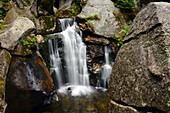 Die Paradise Falls stürzen in die Lost River Schlucht in der White Mountain Region; North Woodstock, New Hampshire, USA.