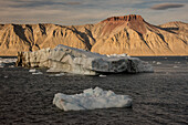 Icebergs and growlers floating in the icy, grey waters of Greenland's Kaiser Franz Joseph Fjord with silt covered mountain cliffs in the background; East Greenland, Greenland