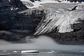 View of a glacier terminus and ice floating in the dark waters of the Nansen Fjord under a layer of fog; East Greenland, Greenland