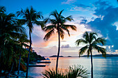Sonnenuntergang und Palmen auf der Karibikinsel St. Thomas, Jungferninseln; St. Thomas, US-Jungferninseln
