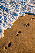 Fußabdrücke im Sand nahe der Wasserkante; Seaside, Florida, Vereinigte Staaten von Amerika