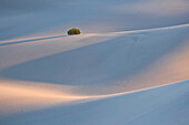 Mesquite Flat Sanddünen im Death Valley National Park, Kalifornien, USA; Kalifornien, Vereinigte Staaten von Amerika