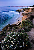 San Diegos von Klippen gesäumte Pazifikküste in der Dämmerung; San Diego, Kalifornien, Vereinigte Staaten von Amerika