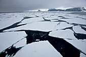 Broken ice in the Svalbard Archipelago; Spitsbergen, Svalbard Archipelago, Norway