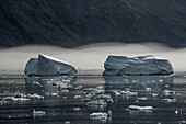 Nahaufnahme von Eisbergen und Brummern, die in den ruhigen Gewässern des Nansen Fjords schwimmen, vor einer Nebelschicht und den Silhouetten der Berge im Hintergrund; Ostgrönland, Grönland